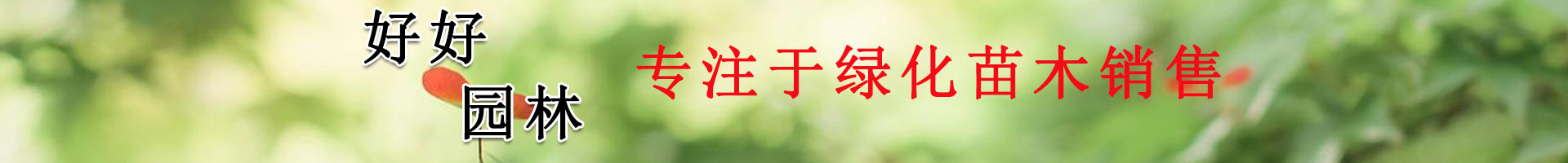 国产8x人视频免费V6
